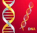 Gold and silver Dna icon. Vector illustration on red background