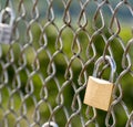 Gold and Silver love lock on chain link fence Royalty Free Stock Photo