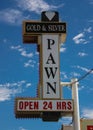The Gold & Silver Pawn Shop