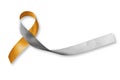 Gold silver ribbon isolated with clipping path for hearing disorders illness awareness
