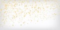 Gold, Silver Rich Falling Bokeh Confetti. Royalty Free Stock Photo