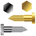 Gold and silver screws