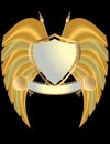 Gold and silver shield