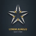 Gold and silver star logo. Award 3d icon. Metallic logotype temp