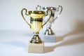 Gold and silver trophy cup. First and second place trophies. Awards on a light, white background Royalty Free Stock Photo