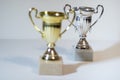 Gold and silver trophy cup. First and second place trophies. Awards on a light, white background Royalty Free Stock Photo