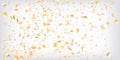 Gold, Silver VIP Falling Bokeh Confetti. Premium