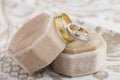 Gold and silver wedding rings Royalty Free Stock Photo