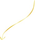 Gold Simple thin arrow variation illustration