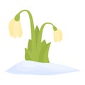 Gold snowdrop icon cartoon vector. Snow flower