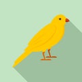 Gold song bird icon, flat style