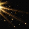 Gold sparks glitter special light effect. Vector sparkles on transparent background. Royalty Free Stock Photo