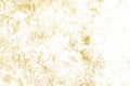 Gold splashes Texture. Brush stroke design element Royalty Free Stock Photo