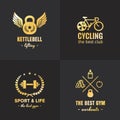 Gold sport & fitness vintage hipster logo vector set. Part one. Royalty Free Stock Photo