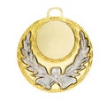 Gold Sports medal Royalty Free Stock Photo