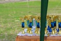 Gold sports trophies against the backdrop of a green soccer fiel