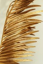Gold spray painted natural leaf of palm tree on light yellow background. Color trend design background.