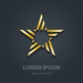 Gold star. Business international award. Star-shaped logotype te