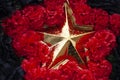 Gold star in colors. Symbol of Red Army. Details of military parade