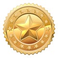 Gold Star Shiny Medal Symbol Award Badge Icon