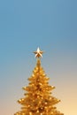 a gold star on top of a christmas tree Royalty Free Stock Photo