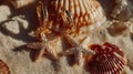 Gold starfish earrings on sandy beach with seashells Royalty Free Stock Photo