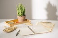 Gold stationaries and cactus. Good plant for improving office air environment