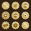 Gold stickers with vintage design vector labels set