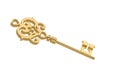Gold success key isolated on white background. 3D illustration Royalty Free Stock Photo