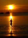 Gold sunset over the beach, Thailand. Royalty Free Stock Photo