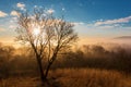 Gold sunset over a foggy forest The Matras, Hungary