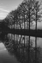 Gold sunset over river with sun rays, tree silhouettes and reflection on water in black and white