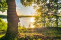 Gold sunset over river with sun rays, tree silhouettes and reflection on water Royalty Free Stock Photo