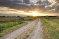 Gold sunshine over road in Dutch farmland