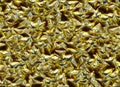 Gold surface relief shining backgrounds