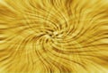 Gold Swirl Background