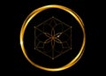 Gold Symbol of alchemy esoteric, Flower of Life. Sacred geometry, graphic element Vector isolated or black. Golden round, Mystic Royalty Free Stock Photo