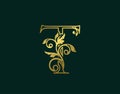 Gold T Luxury Logo Icon, Classy Letter Logo Design. Luxury Silver calligraphic alphabet arts logo