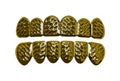 Gold Teeth Royalty Free Stock Photo