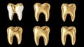 Gold Teeth Set on Transparent Background Royalty Free Stock Photo