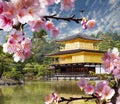 Gold temple japan
