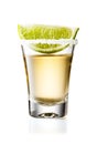 Gold Tequila Glass Shot With Lime Slice and Salty Rim, Isolated on White Background Royalty Free Stock Photo