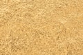 Gold texture or background, embossed golden metal, abstract pattern.