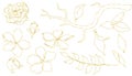 Gold texture one line art set. Cherry blossom flowers, leaves, branch, rose.