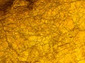Gold texture rough leaf foil with cracks background. Shiny yellow abstract textured golden stone. Royalty Free Stock Photo