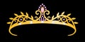 Gold tiara princess