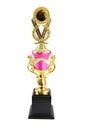 Gold Trophies isolated Royalty Free Stock Photo