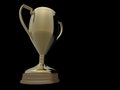 Gold trophy on black background Royalty Free Stock Photo