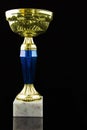 Gold trophy Royalty Free Stock Photo