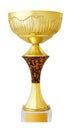 A Gold trophy cup with gilded nameplate on the base, isolated on a white